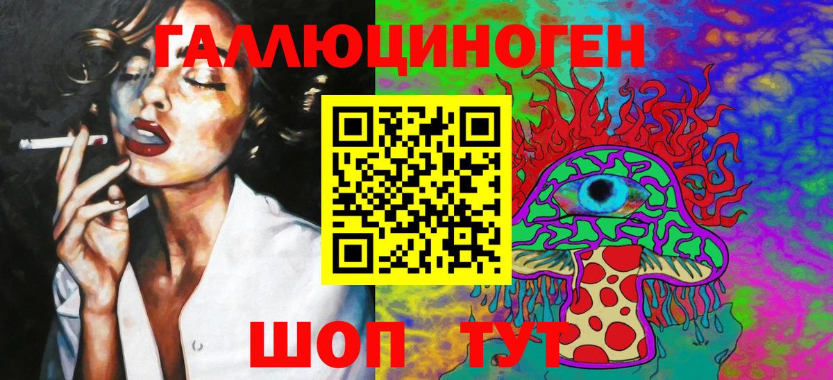 Галлюциногенные грибы Psilocybine cubensis Красноармейск